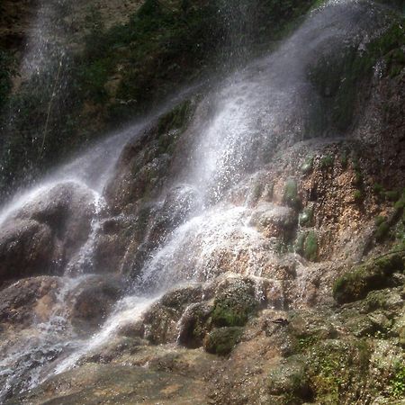 Апарт отель Hacienda El Jibarito Сан-Себастьян Экстерьер фото